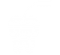 endodontia